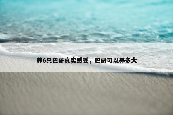 养6只巴哥真实感受，巴哥可以养多大