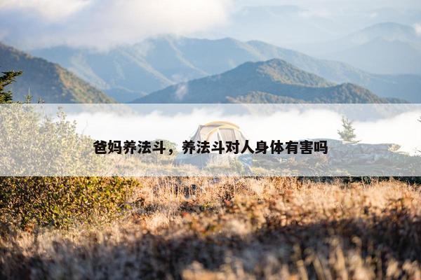 爸妈养法斗，养法斗对人身体有害吗