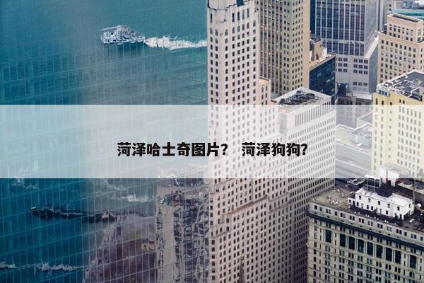 菏泽哈士奇图片？ 菏泽狗狗？