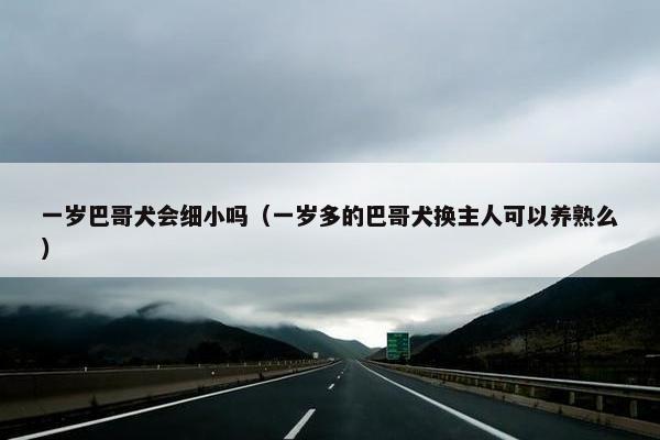 一岁巴哥犬会细小吗（一岁多的巴哥犬换主人可以养熟么）