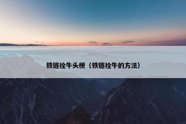 铁链拴牛头梗（铁链拴牛的方法）