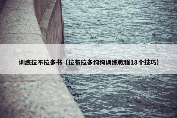 训练拉不拉多书（拉布拉多狗狗训练教程18个技巧）
