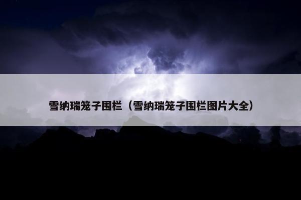 雪纳瑞笼子围栏（雪纳瑞笼子围栏图片大全）