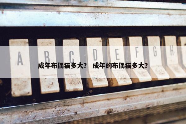 成年布偶猫多大？ 成年的布偶猫多大？