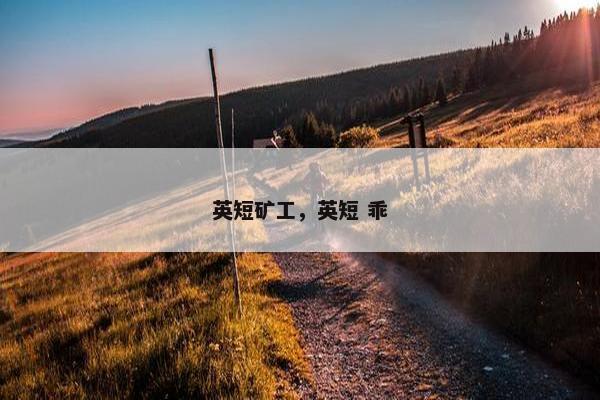 英短矿工，英短 乖