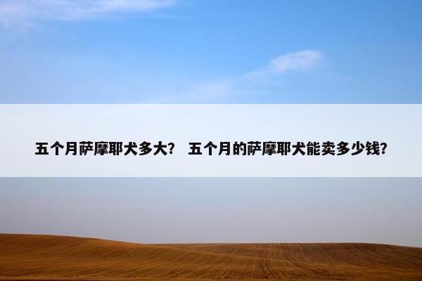 五个月萨摩耶犬多大？ 五个月的萨摩耶犬能卖多少钱？