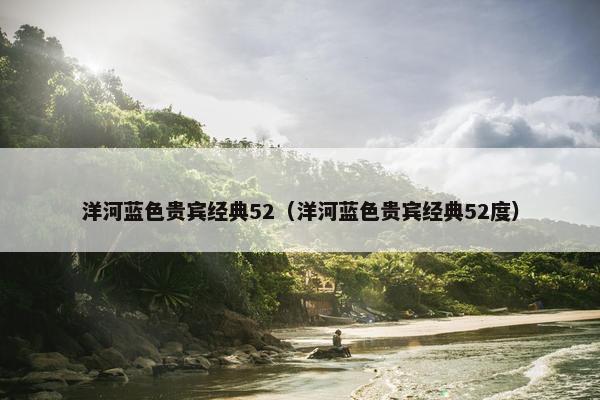 洋河蓝色贵宾经典52（洋河蓝色贵宾经典52度）