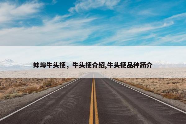蚌埠牛头梗，牛头梗介绍,牛头梗品种简介