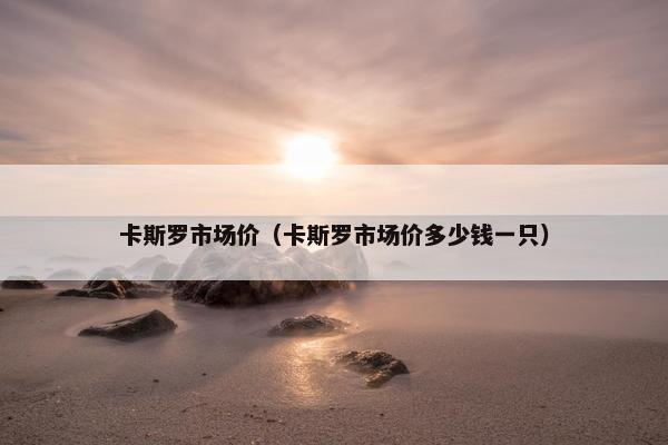 卡斯罗市场价（卡斯罗市场价多少钱一只）