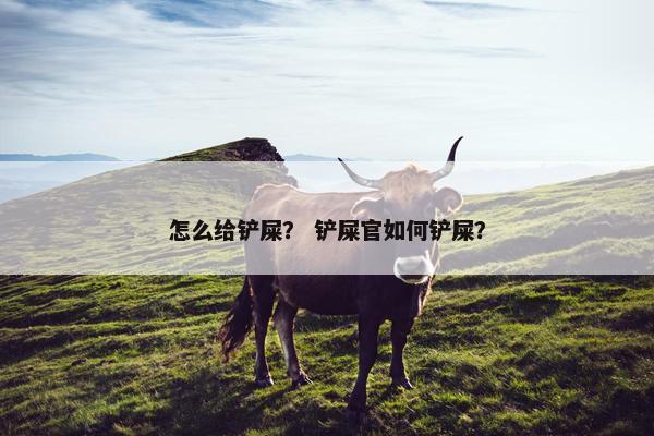 怎么给铲屎？ 铲屎官如何铲屎？