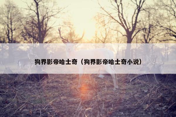 狗界影帝哈士奇（狗界影帝哈士奇小说）