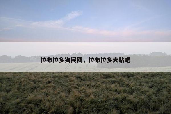 拉布拉多狗民网，拉布拉多犬贴吧