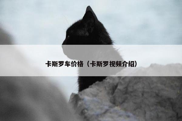 卡斯罗车价格（卡斯罗视频介绍）