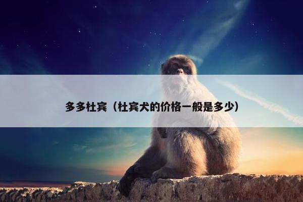 多多杜宾（杜宾犬的价格一般是多少）