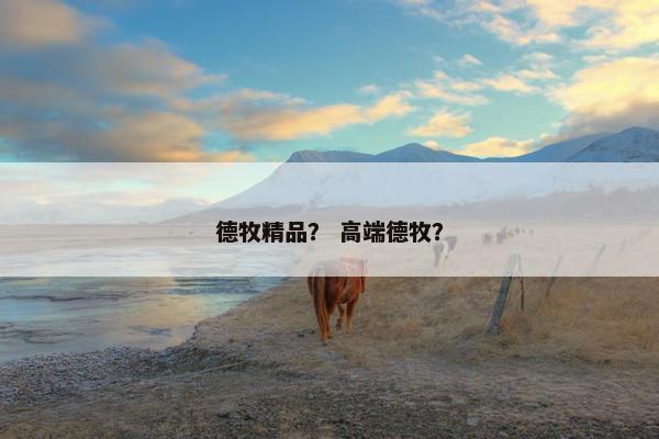 德牧精品？ 高端德牧？