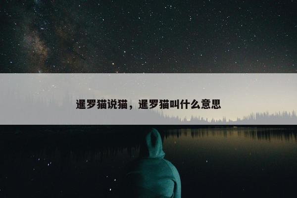 暹罗猫说猫，暹罗猫叫什么意思
