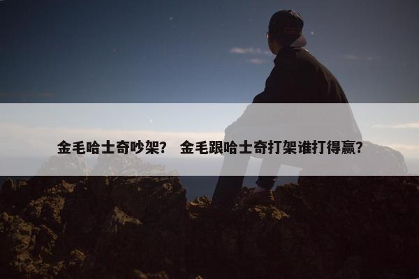 金毛哈士奇吵架？ 金毛跟哈士奇打架谁打得赢？