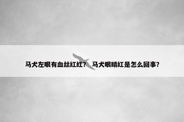 马犬左眼有血丝红红？ 马犬眼睛红是怎么回事？