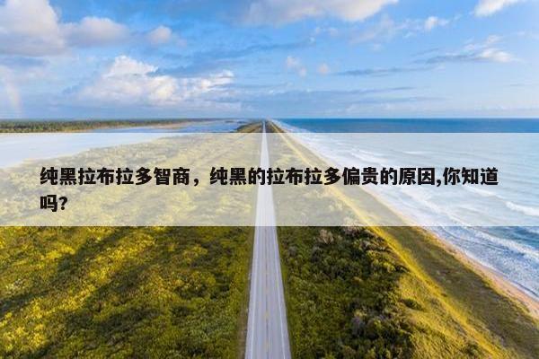 纯黑拉布拉多智商，纯黑的拉布拉多偏贵的原因,你知道吗?