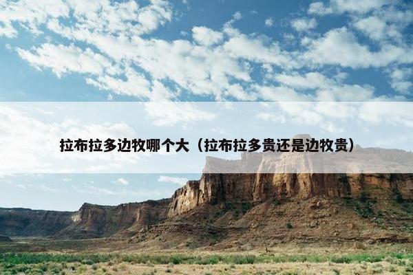 拉布拉多边牧哪个大（拉布拉多贵还是边牧贵）