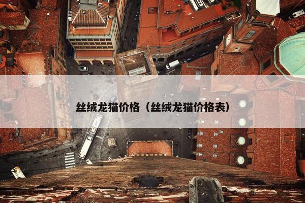 丝绒龙猫价格（丝绒龙猫价格表）