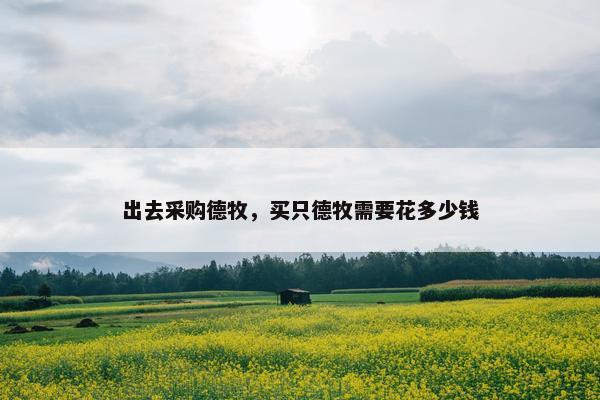 出去采购德牧，买只德牧需要花多少钱