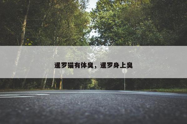 暹罗猫有体臭，暹罗身上臭
