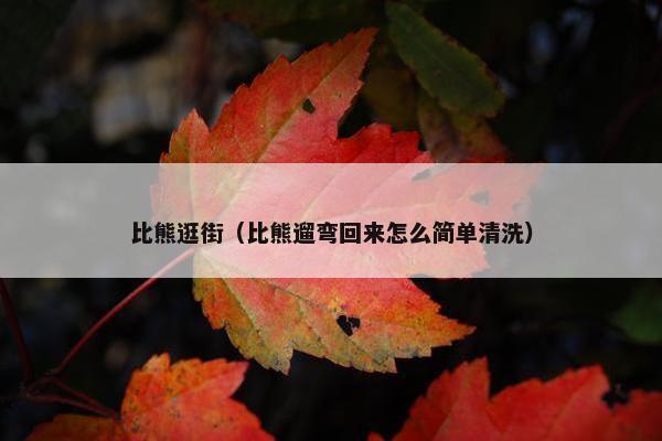 比熊逛街（比熊遛弯回来怎么简单清洗）