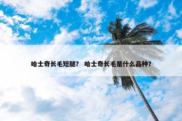 哈士奇长毛短腿？ 哈士奇长毛是什么品种？