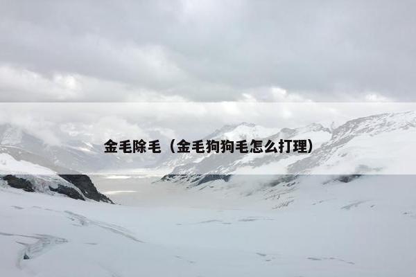 金毛除毛（金毛狗狗毛怎么打理）