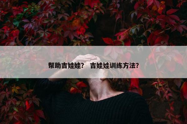 帮助吉娃娃？ 吉娃娃训练方法？