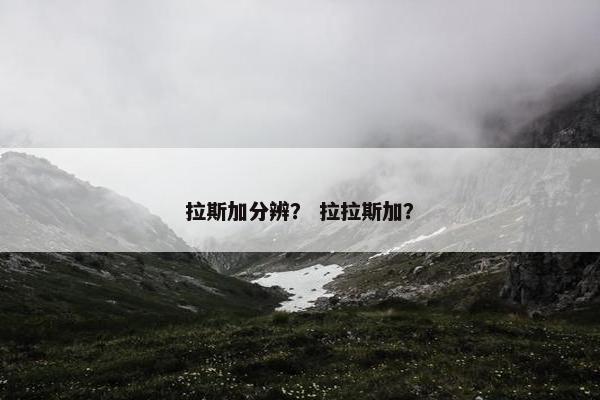 拉斯加分辨？ 拉拉斯加？
