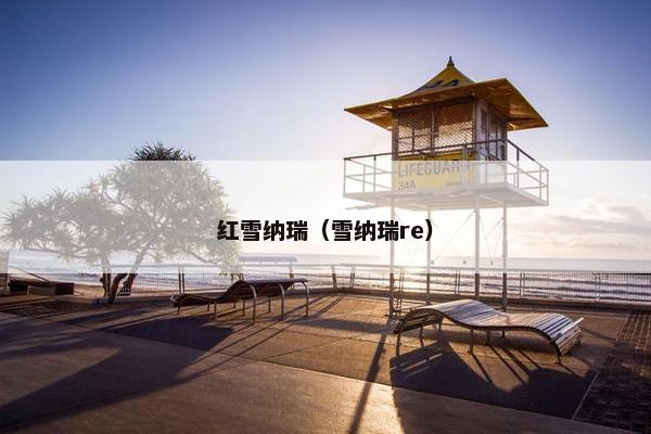 红雪纳瑞（雪纳瑞re）