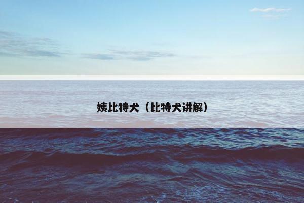 姨比特犬（比特犬讲解）