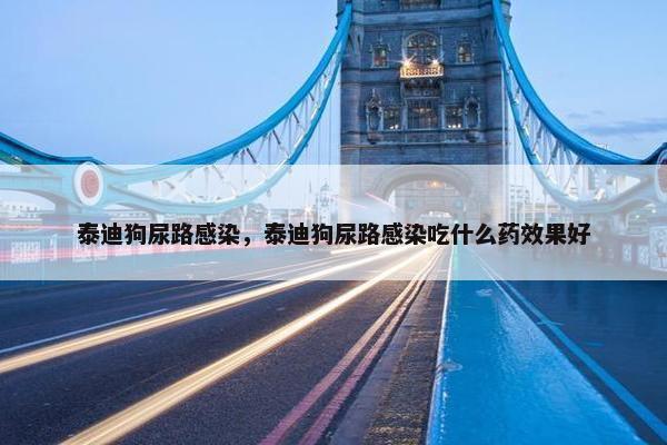 泰迪狗尿路感染，泰迪狗尿路感染吃什么药效果好