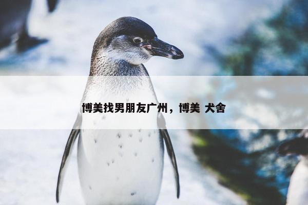博美找男朋友广州，博美 犬舍