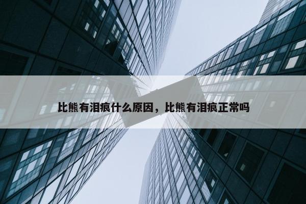 比熊有泪痕什么原因，比熊有泪痕正常吗