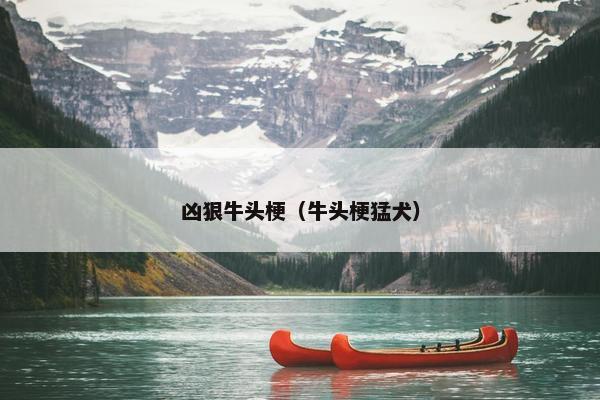凶狠牛头梗（牛头梗猛犬）