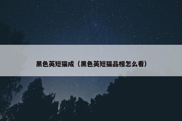黑色英短猫成（黑色英短猫品相怎么看）