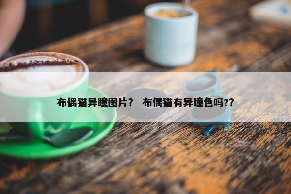 布偶猫异瞳图片？ 布偶猫有异瞳色吗?？