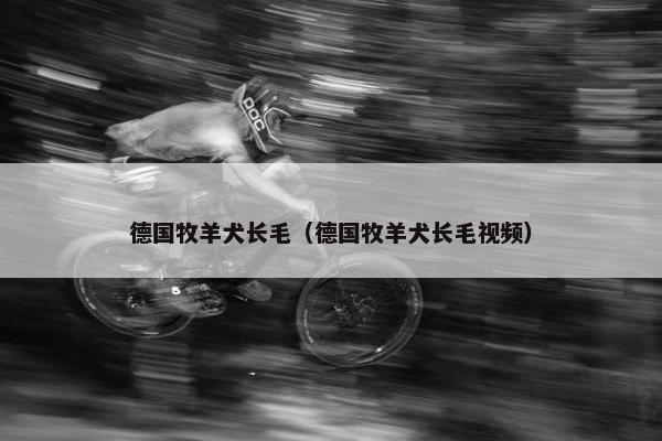 德国牧羊犬长毛（德国牧羊犬长毛视频）