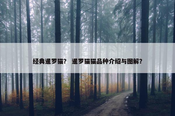 经典暹罗猫？ 暹罗猫猫品种介绍与图解？