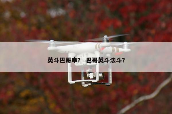 英斗巴哥串？ 巴哥英斗法斗？