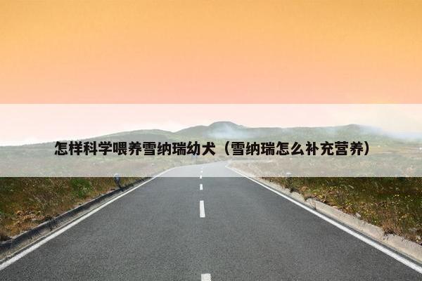 怎样科学喂养雪纳瑞幼犬（雪纳瑞怎么补充营养）