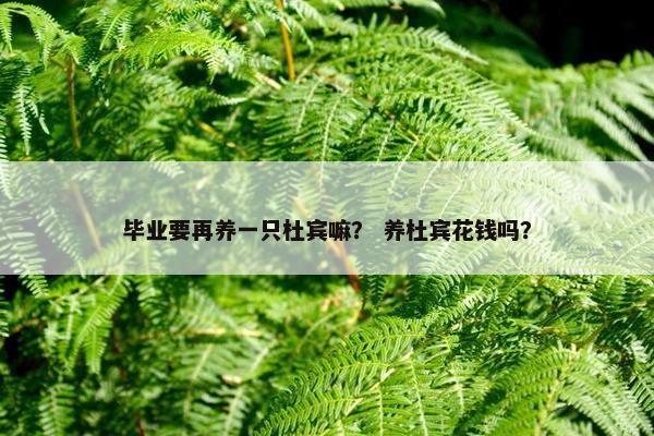 毕业要再养一只杜宾嘛？ 养杜宾花钱吗？
