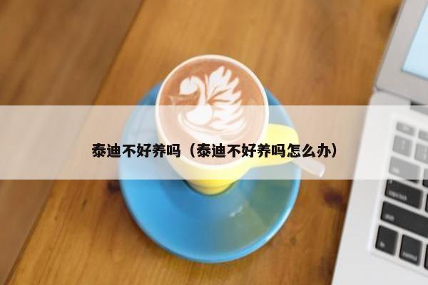 泰迪不好养吗（泰迪不好养吗怎么办）