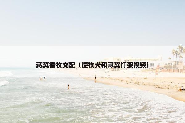 藏獒德牧交配（德牧犬和藏獒打架视频）