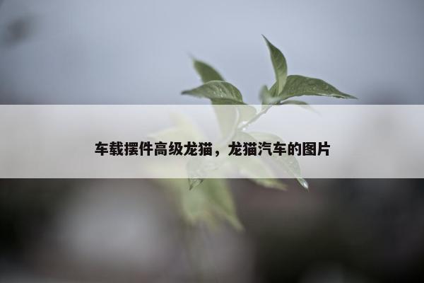 车载摆件高级龙猫，龙猫汽车的图片