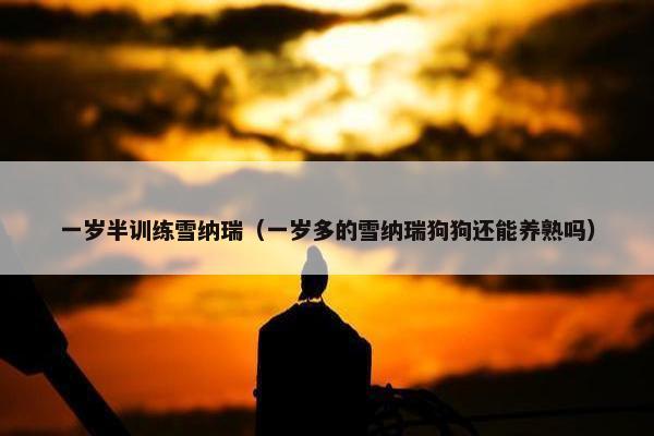 一岁半训练雪纳瑞（一岁多的雪纳瑞狗狗还能养熟吗）
