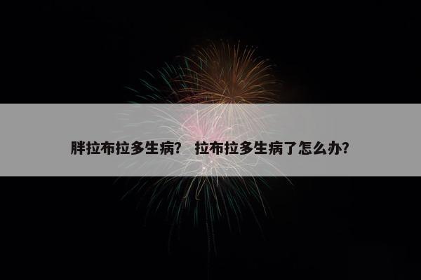 胖拉布拉多生病？ 拉布拉多生病了怎么办？